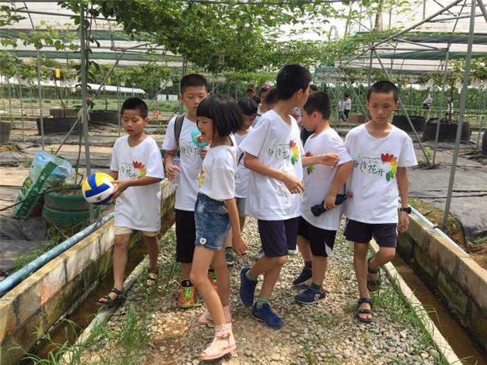 深圳农家乐亲子旅游基地泥巴园农场热烈欢迎四小组织户外亲子活动