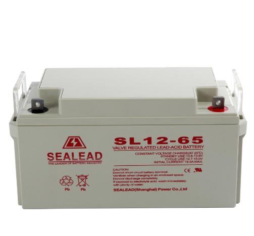 SEALEAD蓄电池价格代理