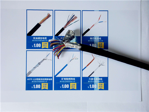 多芯RVVP：屏蔽电缆厂家多少钱一米