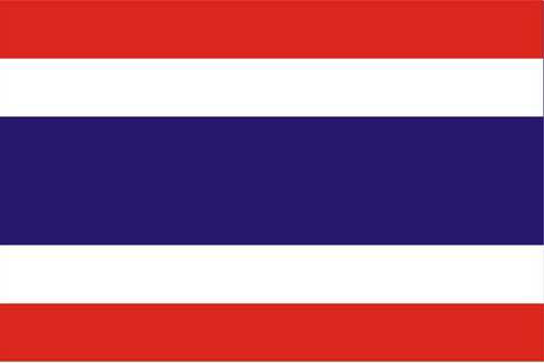 A great cooperation between  Thailand and RGX