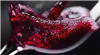 什么是葡酒中的单宁酸？