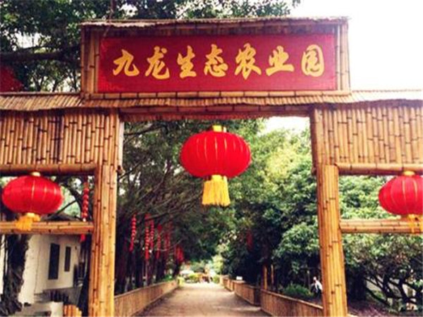 深圳九龙生态园趣味团建一日游