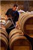 葡萄牙酒文化——享受美酒，享受生活