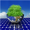 China's solar cell production is forecast to r...
