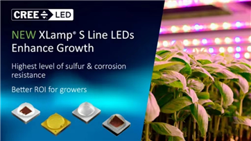 XLamp? S Line LEDs 定制植物照明 助力農(nóng)業(yè)科技