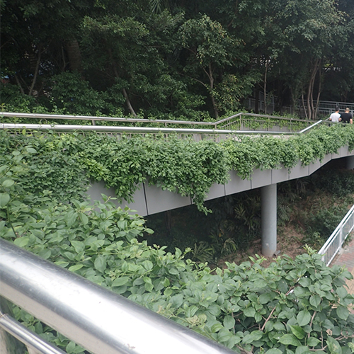 深圳市羅湖區(qū)（人民南路，沿河，北斗）人行天橋及深南沿河立交橋等垂直綠化微噴系統(tǒng)