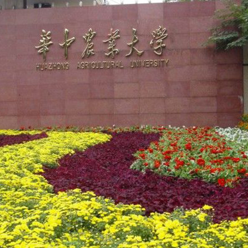 华中农业大学国家重点实验室盆栽灌溉