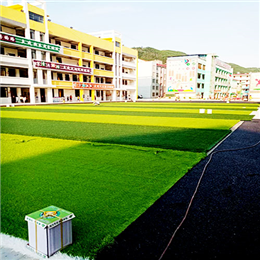 广西百色田林县潞城中心小学透气型跑道、人造草足球场圆满验收成功