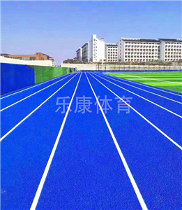 贵州松桃县沙坝中学13mm全塑型塑胶跑道