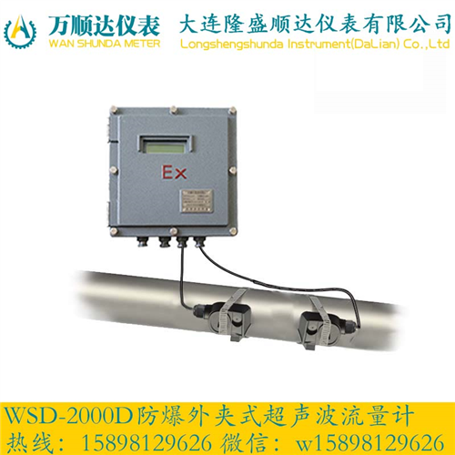 WSD-2000D防爆外夹式超声波流量计