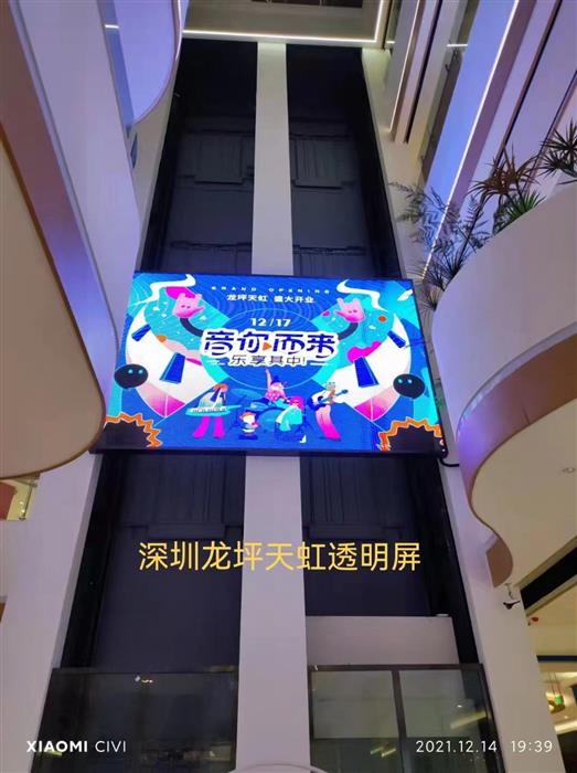 Shenzhen Longping Tianhong Shopping Mall