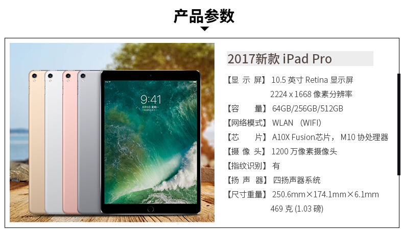 iPad