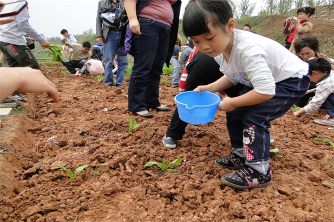 泥巴园生态农场亲子户外教育种植蔬菜现场