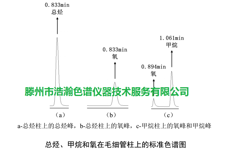 色谱柱