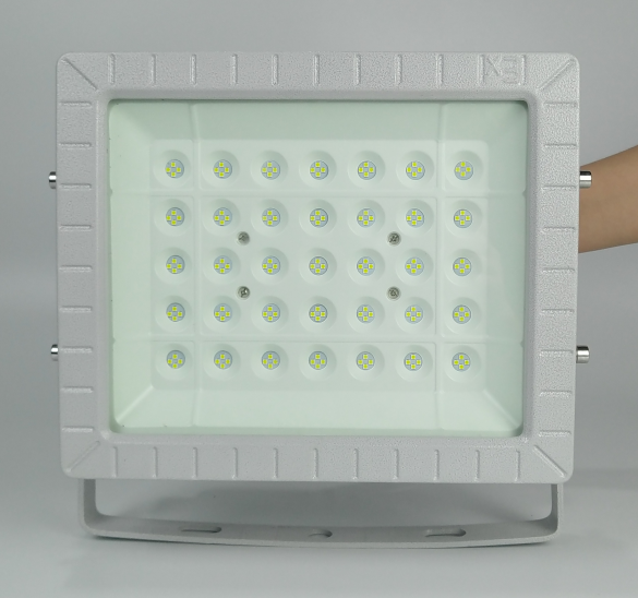 工业废水厂LED防爆灯100W1