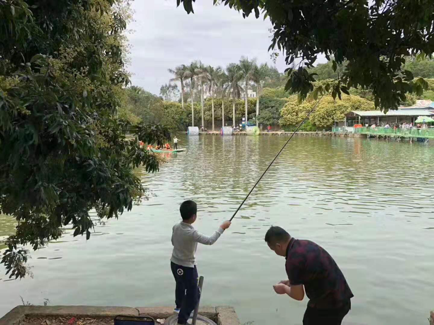深圳农家乐-乐湖生态园