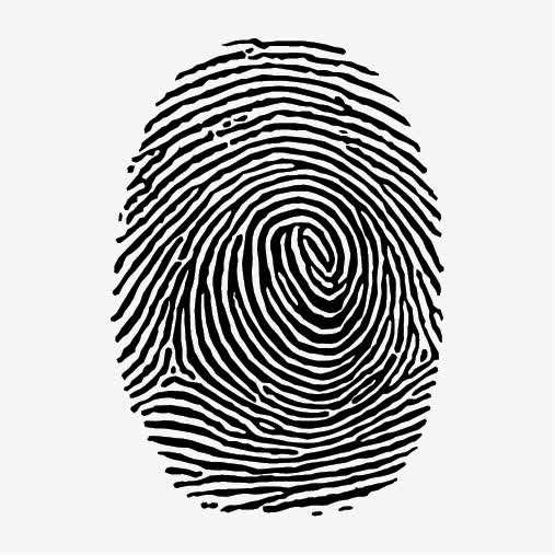 Fingerprint module
