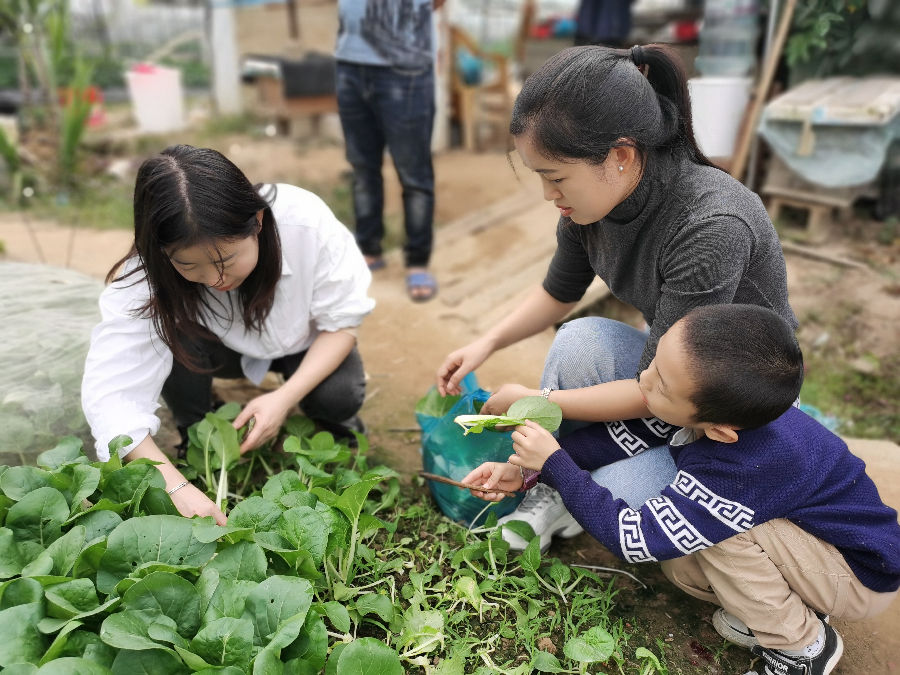 深圳某公司在乐水山庄蔬菜基地采摘青菜进行柴火野炊