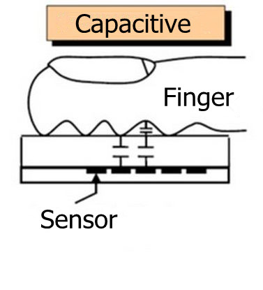 Capacitive fingerprint module