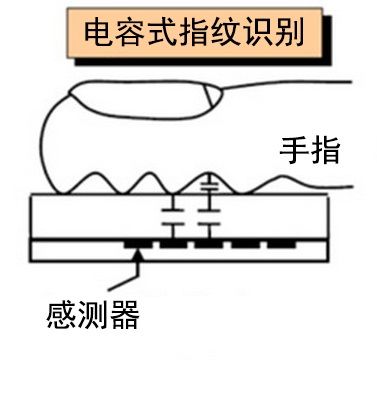 电容指纹模块