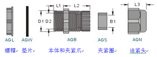 M螺牙