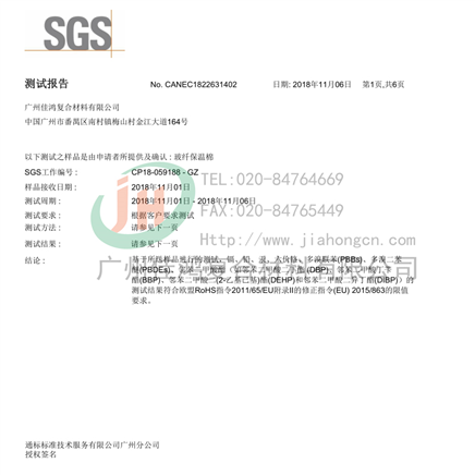 SGS通標(biāo)公司ROSH十項(xiàng)檢測報(bào)告（中文版）