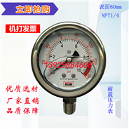 供应耐震充油式压力表(管道)
