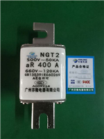 芬隆牌NGT2-400A快速熔斷器