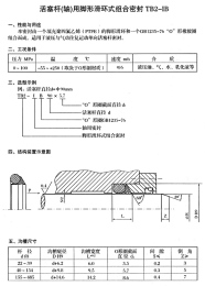 活塞杆用脚型组合密封TB2-IB