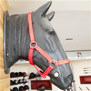 HORSE103 horse  bridle