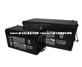 Genesis电池 FPG胶体系列