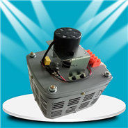 TDGC2/TSGC2 系列接触式电动调压器