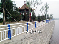桥梁护栏工程案例