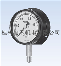 日本长野计器（NKS）BS12、BS17系列压力计