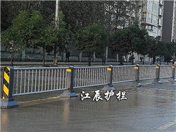 河北沧州市政护栏网生产厂家