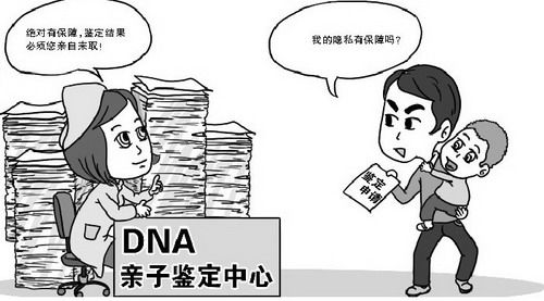 什么是dna亲子鉴定测试