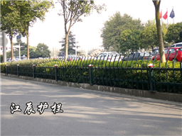 沧州市绿化带草坪护栏