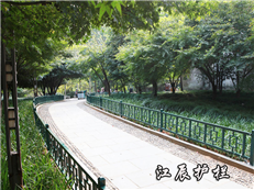漳州市景观园林护栏
