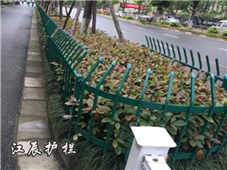 临汾市绿化带护栏