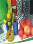 包装网袋，玩具网袋，水果网袋，工艺品网袋