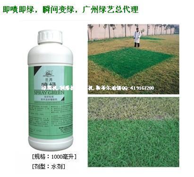 草坪喷绿染色剂兰月草坪专用及时增绿剂