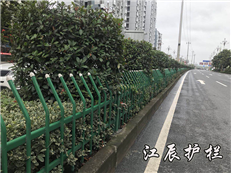 台州市绿化**尖护栏