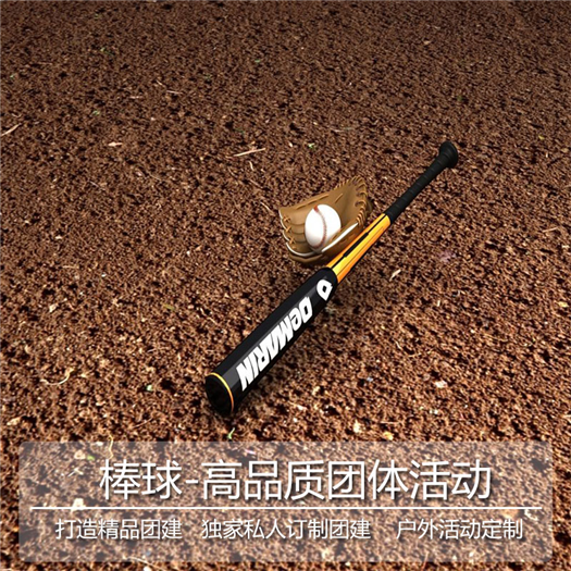 棒球-高品質團體活動