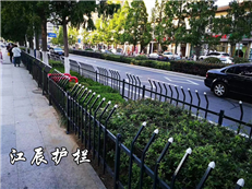 滁州市绿化带护栏加工
