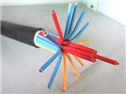 塑料绝缘控制电缆 KVVRP电缆