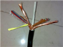 阻燃铠装计算机电缆ZRA-DJYVRP22 阻燃屏蔽电缆