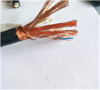 NH-DJYPVP耐火计算机电缆