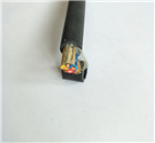 国标ZA-VVR多芯阻燃电源电缆