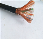 ia-DJYPYP-6*2*0.75本安型计算机电缆