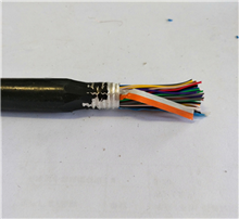 WDZ-HYA-30*2*0.6阻燃电缆WDZ-HYA低烟无卤通信电缆